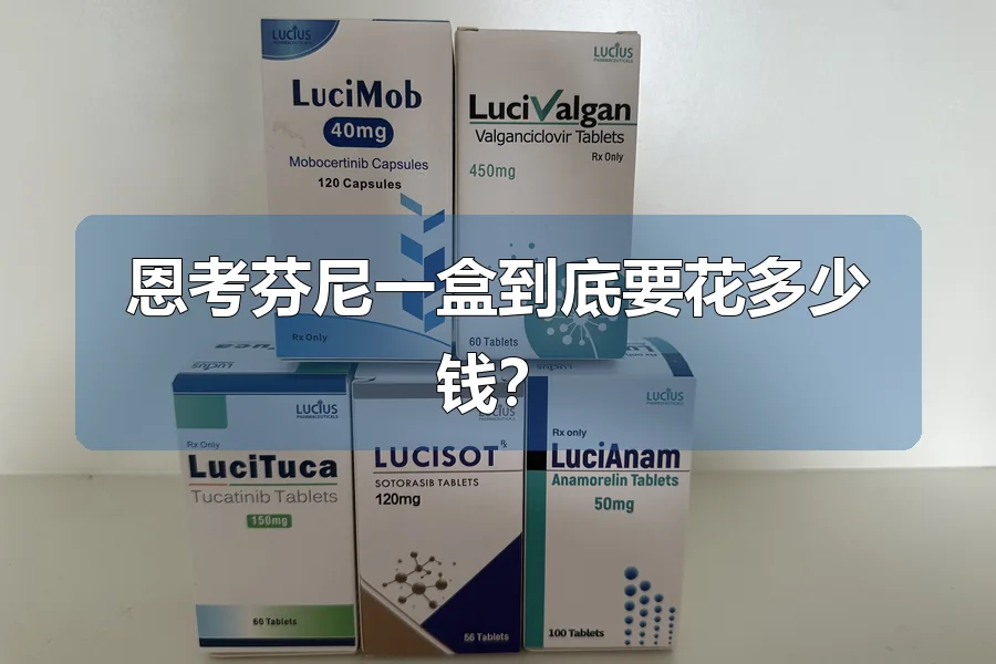 恩考芬尼一盒到底要花多少钱?